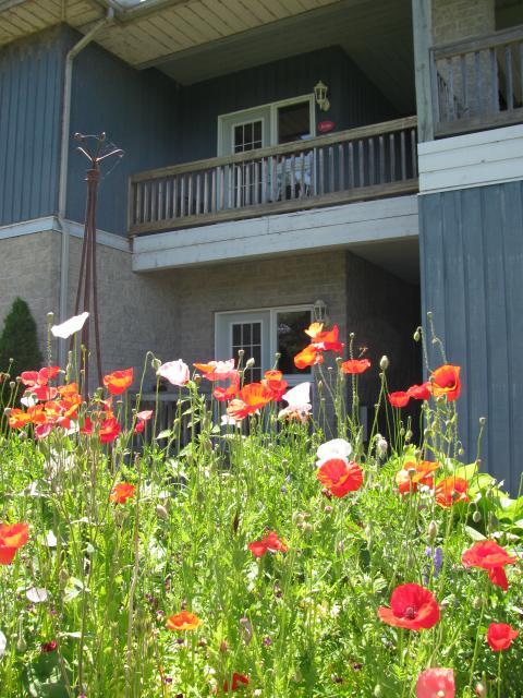Highlands Four Season Resort Calabogie Exterior foto